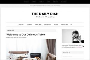 daily dish pro theme review