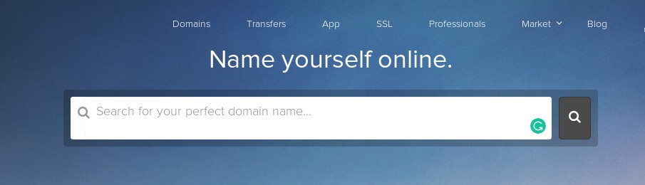 domain search