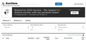 GoDaddy Auctions review