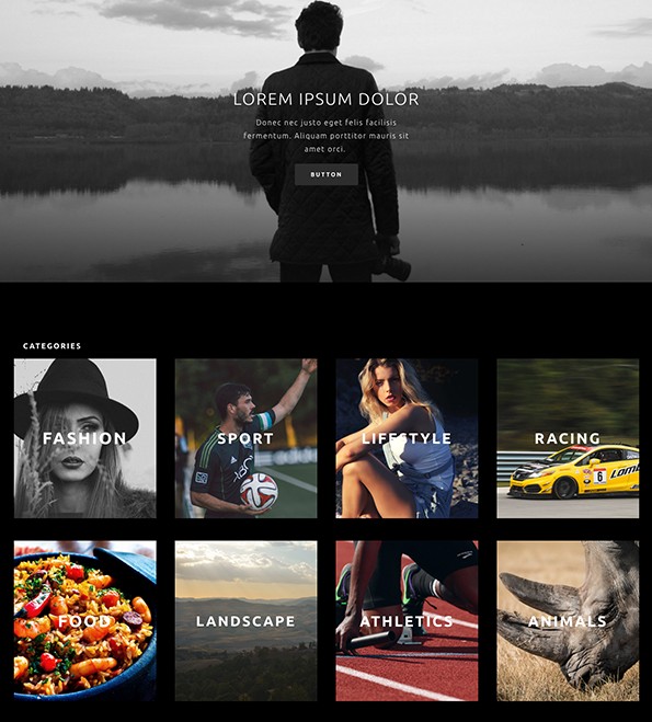 Elegant Themes Divi - photography theme for WordPress