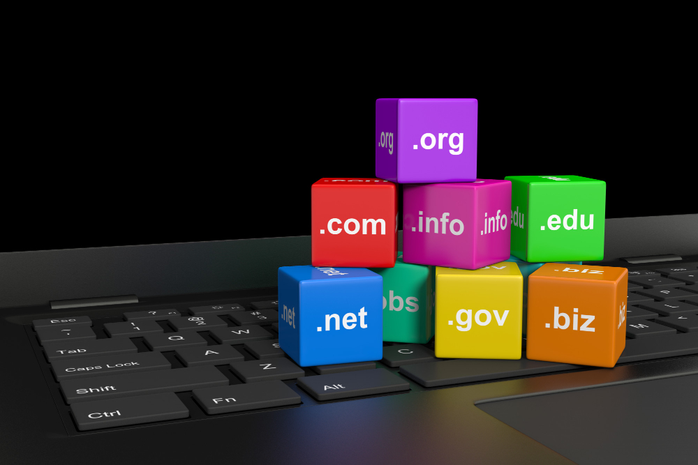 Internet Domain Names 