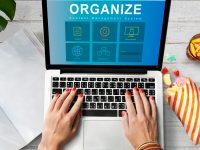 System Content Management SEO Application Graphic Concept