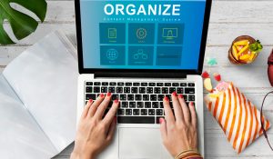System Content Management SEO Application Graphic Concept