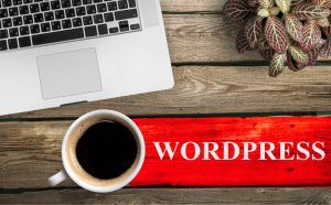 Top 6 Plugins for WordPress in 2022: Create and Maintenance Your Website Easy