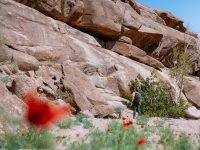 a person standing in the middle of a rocky area ai interface, chatbot alternatives, user experience