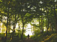 person standing in woods linkedin profile photo, smiling person, professional outfit