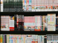 assorted-title books on rack anime collectibles, figures, limited edition