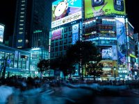 high-rise building in front of trees ai advertising, campaign automation, machine learning marketing