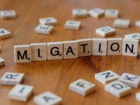 A close up of a wooden block with letters spelling the word migration blogvault, wordpress migration, website transfer