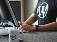 person in black and white t-shirt using computer wordpress maintenance, website security, support team