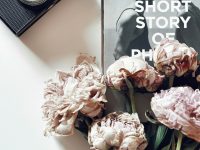 How to Make a Photo Collage on Your Instagram Story pink roses beside gray and black camera instagram story, collage, copy paste method