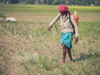 a person walking in a field with a stick soil moisture sensor in ground, farmer checking soil probe, irrigation field technology, underground sensor close up